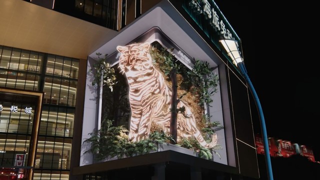 Shiseido APAC Lunar New Year of Tiger Naked Eye 3D Video
